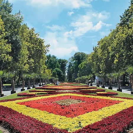 Deluxe Lazur Daire *